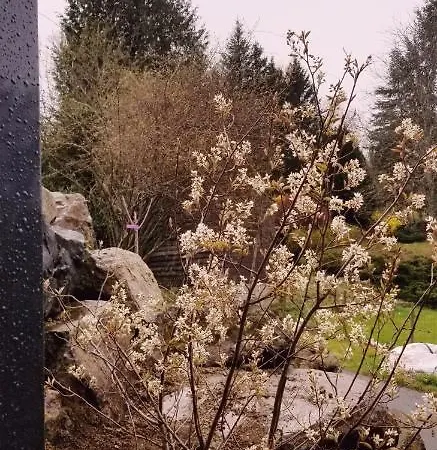 La Terrasse Des Volcans *